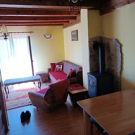 Vila Mitrovic Bajina Basta Extérieur photo