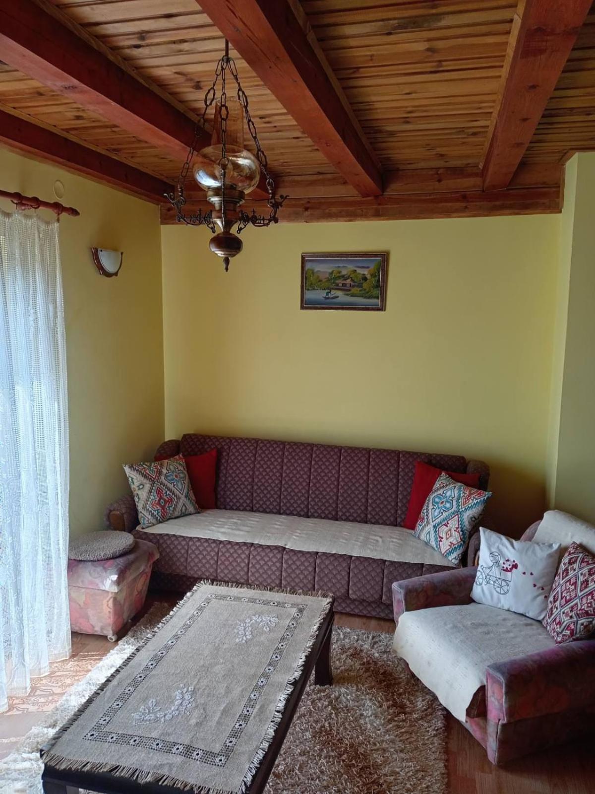 Vila Mitrovic Bajina Basta Extérieur photo